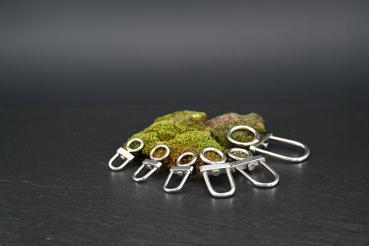 Drahle D englische Form