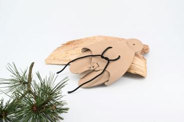 Federspiel Hohenwerfen