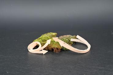 Bellriemen aus Leder