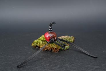 Preview: Hauben hart