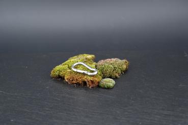 Karabiner 100 Edelstahl