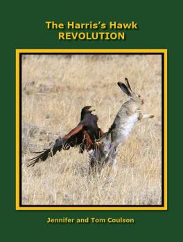 Harris Hawk Revolution