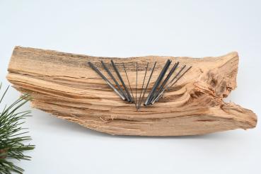 Schiftnadeln Carbonset