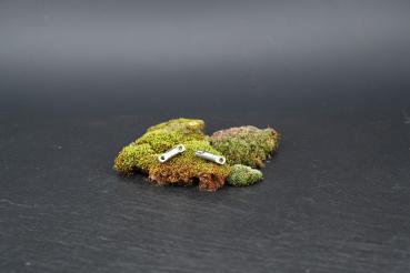 Drahle Wirbel aus Edelstahl (5er Set)