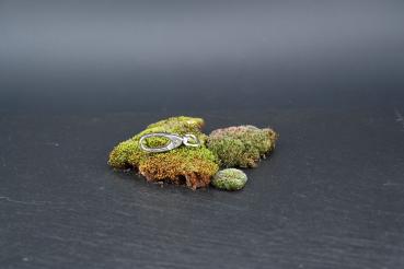 Preview: Zinkguss-Karabiner